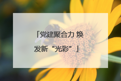 党建聚合力 焕发新“光彩”