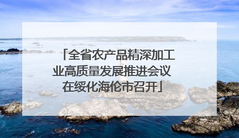 全省农产品精深加工业高质量发展推进会议在绥化海伦市召开