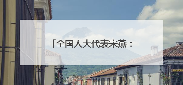 全国人大代表宋燕：构建推进长三角检察一体化学习研究机制