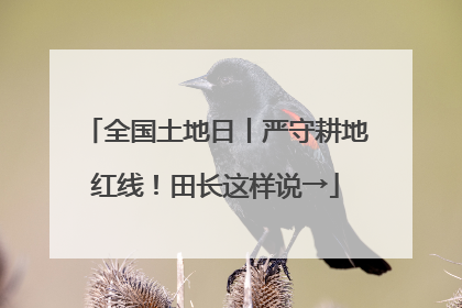 全国土地日丨严守耕地红线！田长这样说→