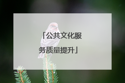 公共文化服务质量提升