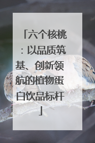 六个核桃：以品质筑基、创新领航的植物蛋白饮品标杆