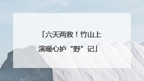 六天两救！竹山上演暖心护“野”记