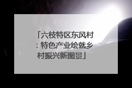 六枝特区东风村：特色产业绘就乡村振兴新图景