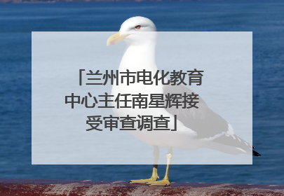 兰州市电化教育中心主任南星辉接受审查调查