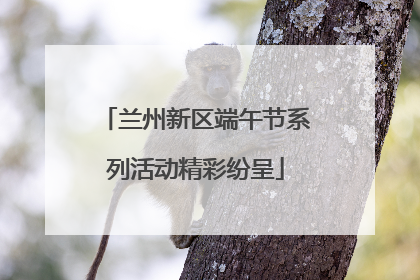 兰州新区端午节系列活动精彩纷呈