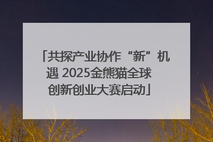 共探产业协作“新”机遇 2025金熊猫全球创新创业大赛启动