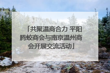 共聚温商合力 平阳腾蛟商会与南京温州商会开展交流活动