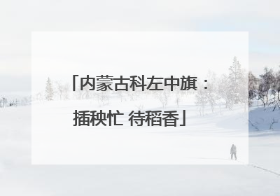 内蒙古科左中旗：插秧忙 待稻香