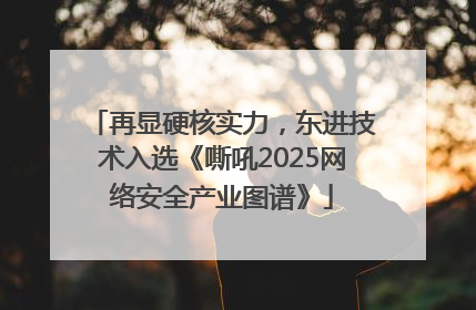 再显硬核实力，东进技术入选《嘶吼2025网络安全产业图谱》