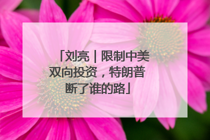 刘亮｜限制中美双向投资，特朗普断了谁的路