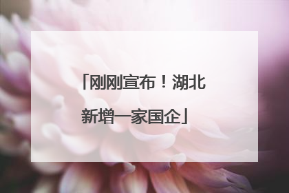 刚刚宣布！湖北新增一家国企