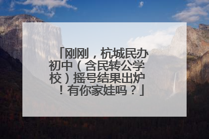 刚刚，杭城民办初中（含民转公学校）摇号结果出炉！有你家娃吗？