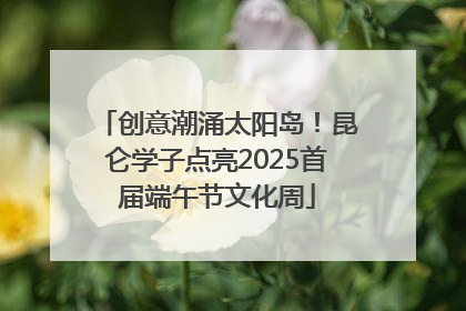 创意潮涌太阳岛！昆仑学子点亮2025首届端午节文化周