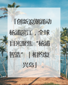 创新浪潮涌动杨浦滨江，全球目光聚焦“杨浦智造”｜相约复兴岛