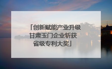 创新赋能产业升级 甘肃玉门企业斩获省级专利大奖