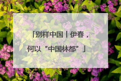 别样中国丨伊春，何以“中国林都”
