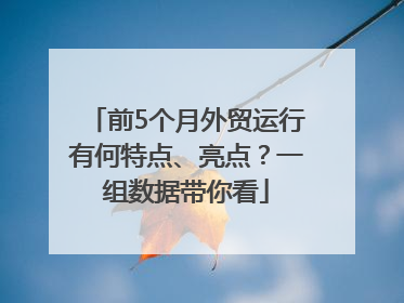 前5个月外贸运行有何特点、亮点？一组数据带你看