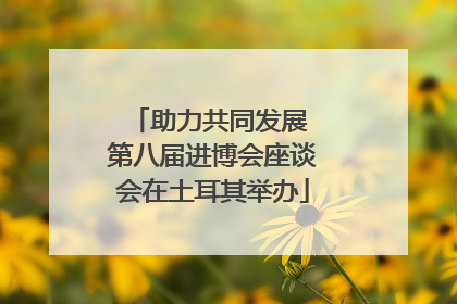 助力共同发展 第八届进博会座谈会在土耳其举办