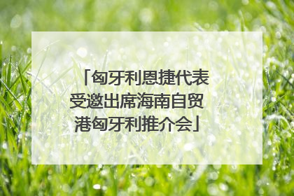匈牙利恩捷代表受邀出席海南自贸港匈牙利推介会