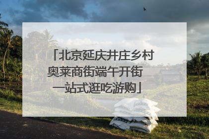 北京延庆井庄乡村奥莱商街端午开街 一站式逛吃游购