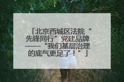 北京西城区法院“先锋同行”党建品牌——“我们基层治理的底气更足了！”