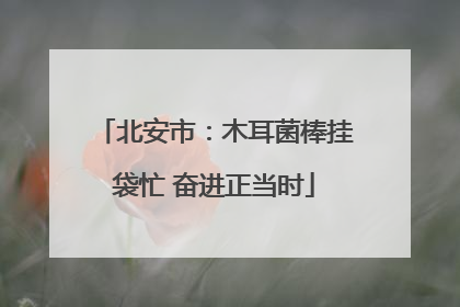 北安市：木耳菌棒挂袋忙 奋进正当时