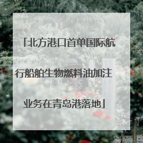北方港口首单国际航行船舶生物燃料油加注业务在青岛港落地