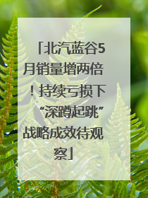 北汽蓝谷5月销量增两倍！持续亏损下“深蹲起跳”战略成效待观察