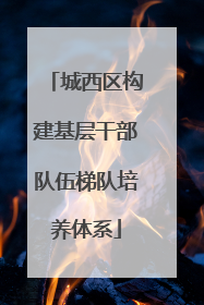 城西区构建基层干部队伍梯队培养体系