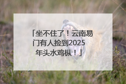 坐不住了！云南易门有人捡到2025年头水鸡枞！