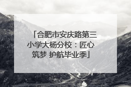 合肥市安庆路第三小学大杨分校：匠心筑梦 护航毕业季