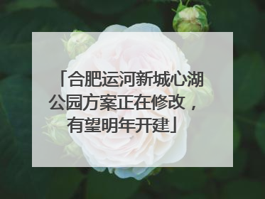 合肥运河新城心湖公园方案正在修改，有望明年开建