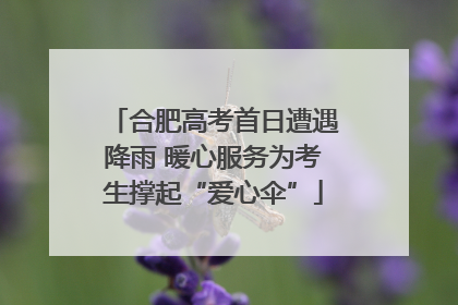 合肥高考首日遭遇降雨 暖心服务为考生撑起“爱心伞”