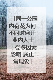 同一公园内荷花为何不同时盛开 业内人士：受多因素影响 属正常现象