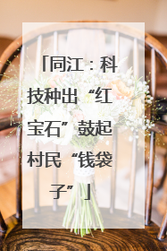 同江：科技种出“红宝石”鼓起村民“钱袋子”