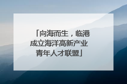 向海而生，临港成立海洋高新产业青年人才联盟