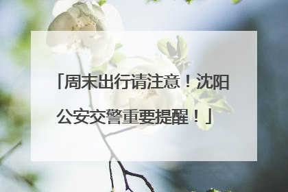 周末出行请注意！沈阳公安交警重要提醒！