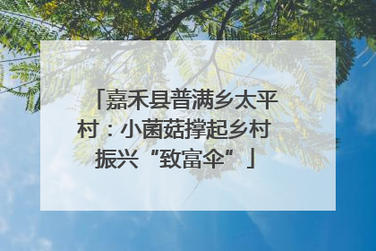 嘉禾县普满乡太平村：小菌菇撑起乡村振兴“致富伞”