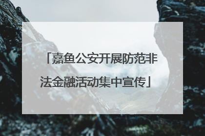 嘉鱼公安开展防范非法金融活动集中宣传