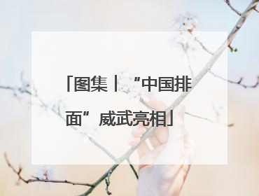 图集︱“中国排面”威武亮相