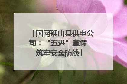 国网确山县供电公司：“五进”宣传 筑牢安全防线