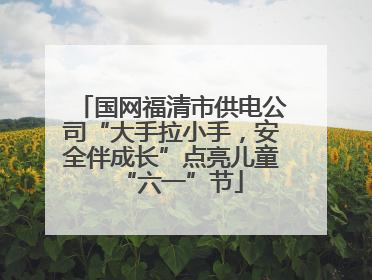 国网福清市供电公司“大手拉小手，安全伴成长”点亮儿童“六一”节