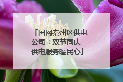 国网秦州区供电公司：双节同庆 供电服务暖民心