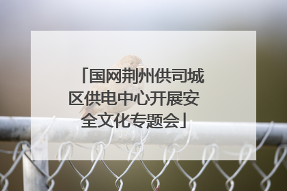 国网荆州供司城区供电中心开展安全文化专题会