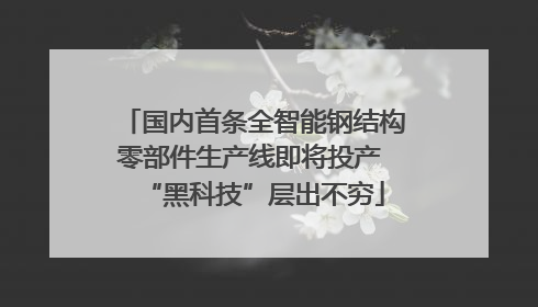 国内首条全智能钢结构零部件生产线即将投产 “黑科技”层出不穷