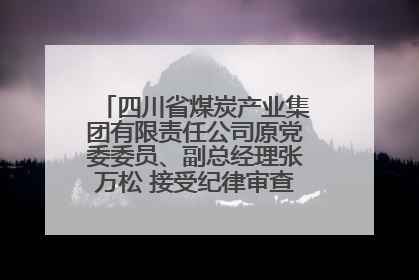 四川省煤炭产业集团有限责任公司原党委委员、副总经理张万松 接受纪律审查和监察调查