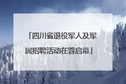 四川省退役军人及军属招聘活动在蓉启幕