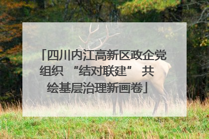 四川内江高新区政企党组织 “结对联建” 共绘基层治理新画卷
