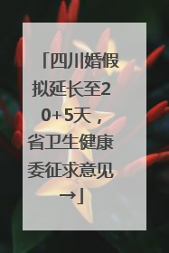 四川婚假拟延长至20+5天，省卫生健康委征求意见→